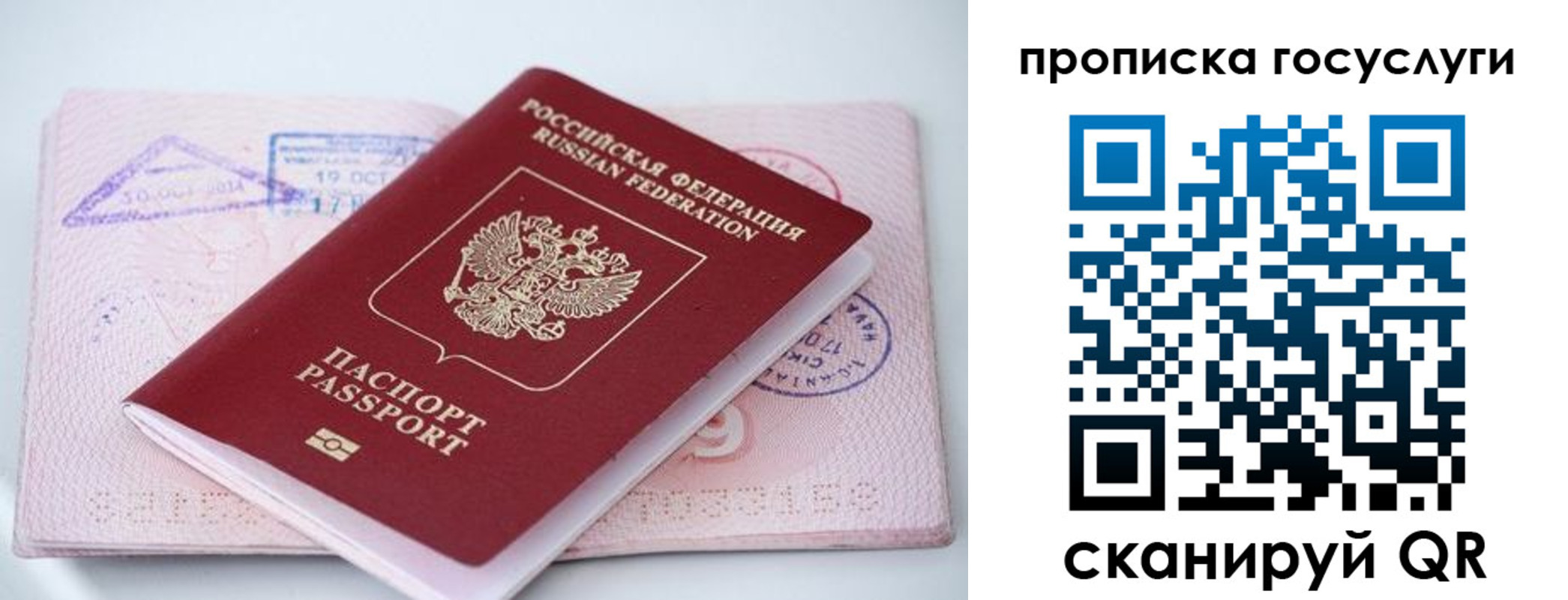 прописка законно в Сегеже